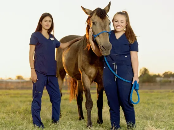 Nash family with a horse