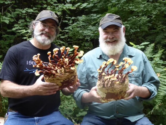 Paul Stamet and Andrew Weil holding some mushrooms