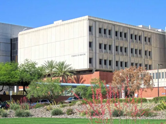 School of Medicine