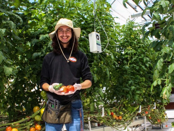 Student in a greenhouse holding vegetables