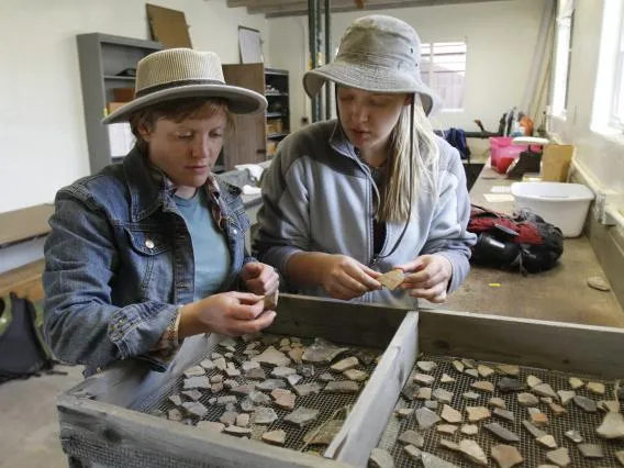 sorting artefacts 