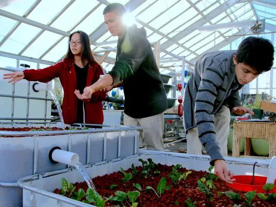 hydroponic system