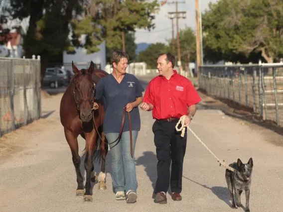 people walking a horse and a dog