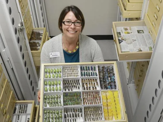 woman holding a collection of plants