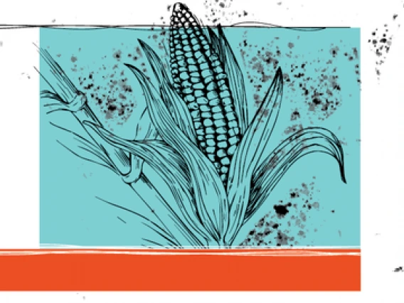 corn art