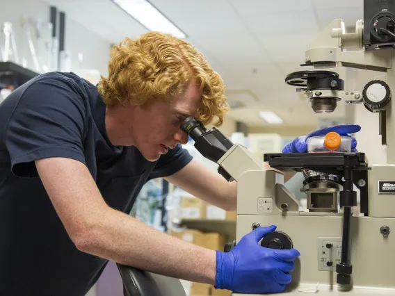 A photograph of a student working in a lab