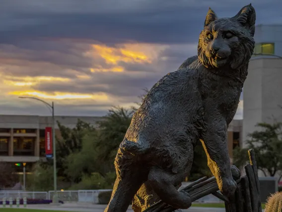 Wildcat statue on the Mall, Main Library in background