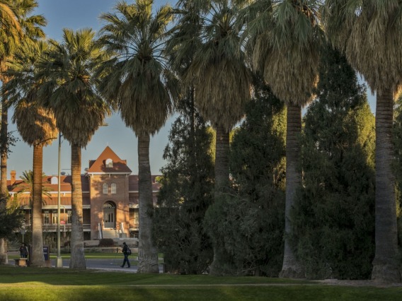 A photograph of the palm trees outside Old Main with students walking 