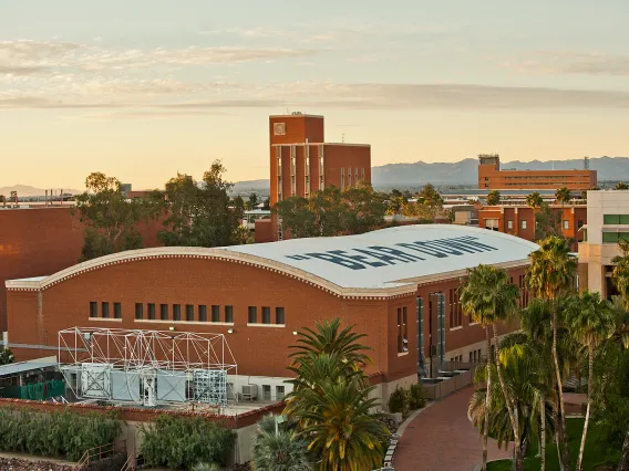 building with "bear down" on the roof