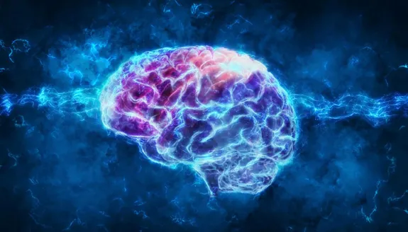 brain artwork