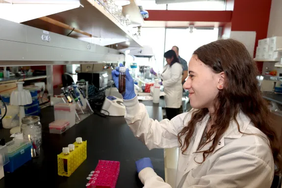 A photograph of students working in a laboratory