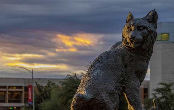 Wildcat statue on the Mall, Main Library in background