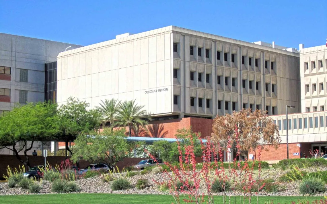 School of Medicine