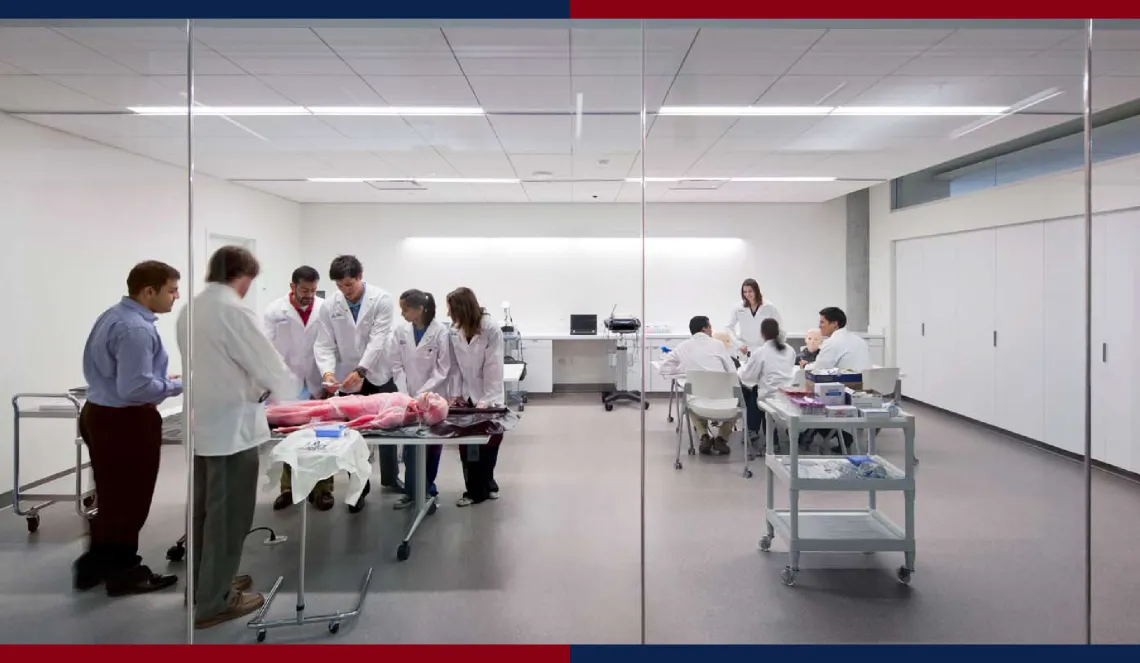 Students and faculty working in a lab setting