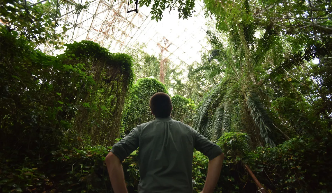 Student looking up in arboretum