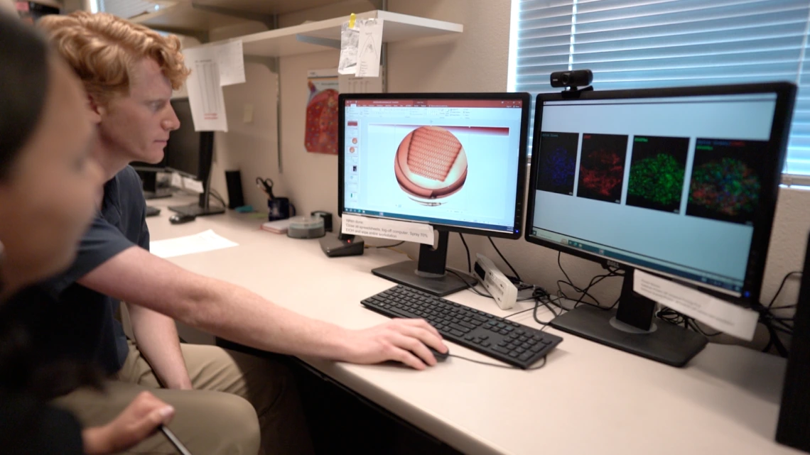 Students working in Dr. Steven Goldman’s lab at Sarver Heart Center.