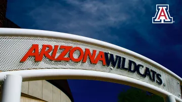 Arizona Wildcats Virtual Meeting Background