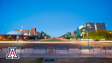 Campus at Twilight Virtual Meeting Background