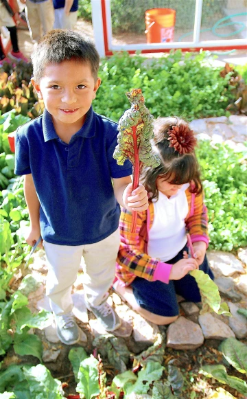 Sowing Seeds